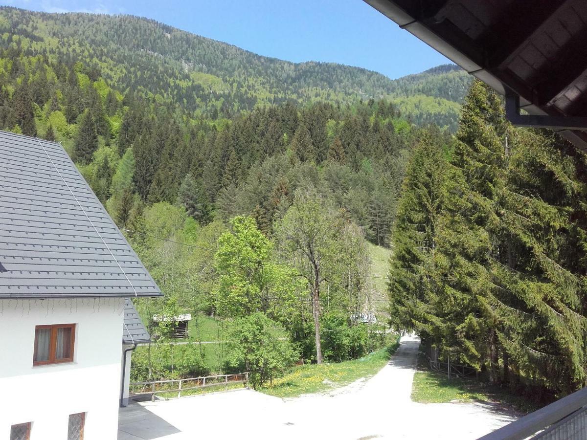 Klass 203 Kranjska Gora Bagian luar foto