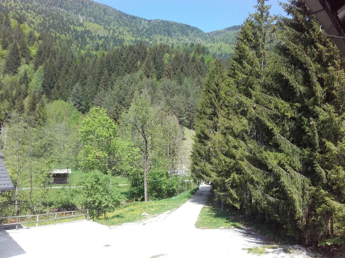 Klass 203 Kranjska Gora Bagian luar foto